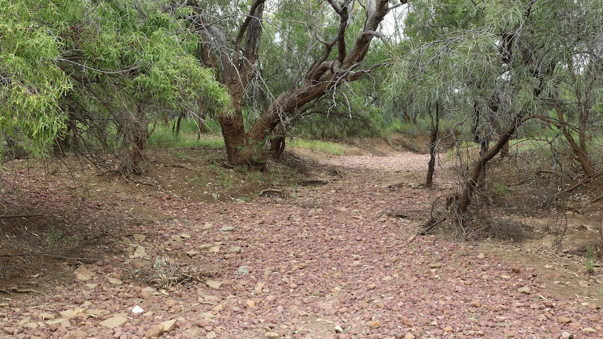 Dry Watyakan Creek Bed Dry Watyakan Creek Bed