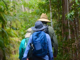 Great Noosa Trail Walk Cover Image