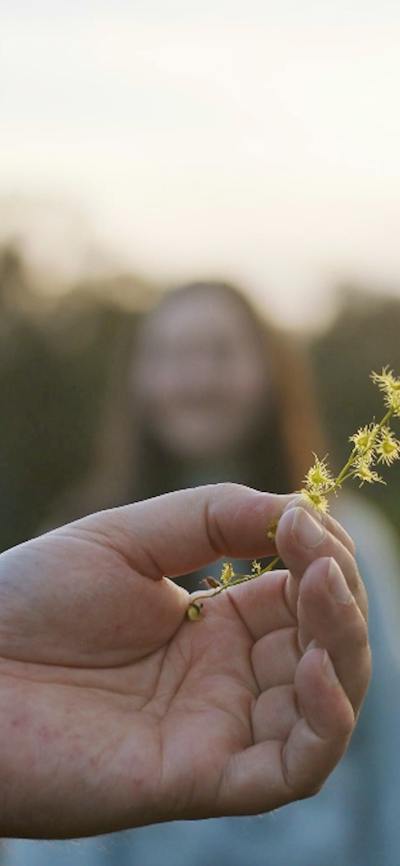 Close up shot of hand holding wattle sprig with two people in background looking on
