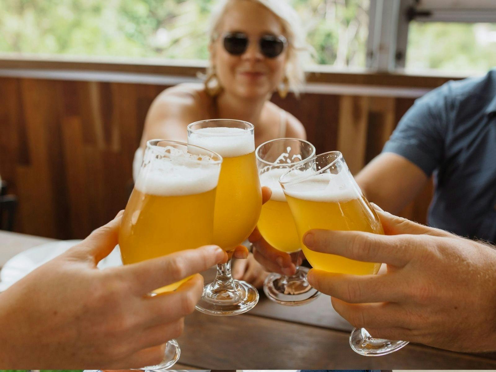 Creative Tours Sunshine Coast - Taste a variety of local craft beers