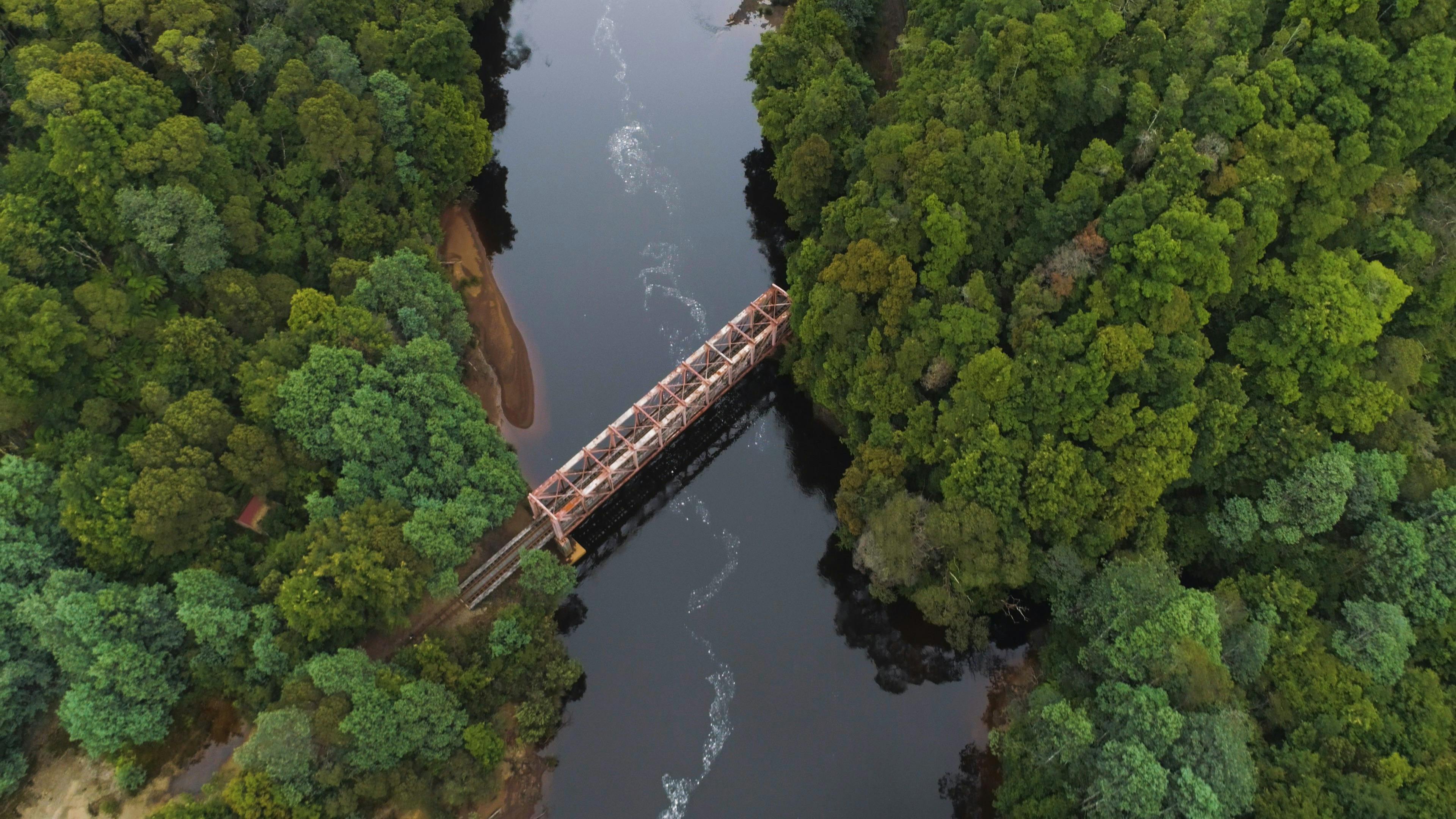 Bridge over King River