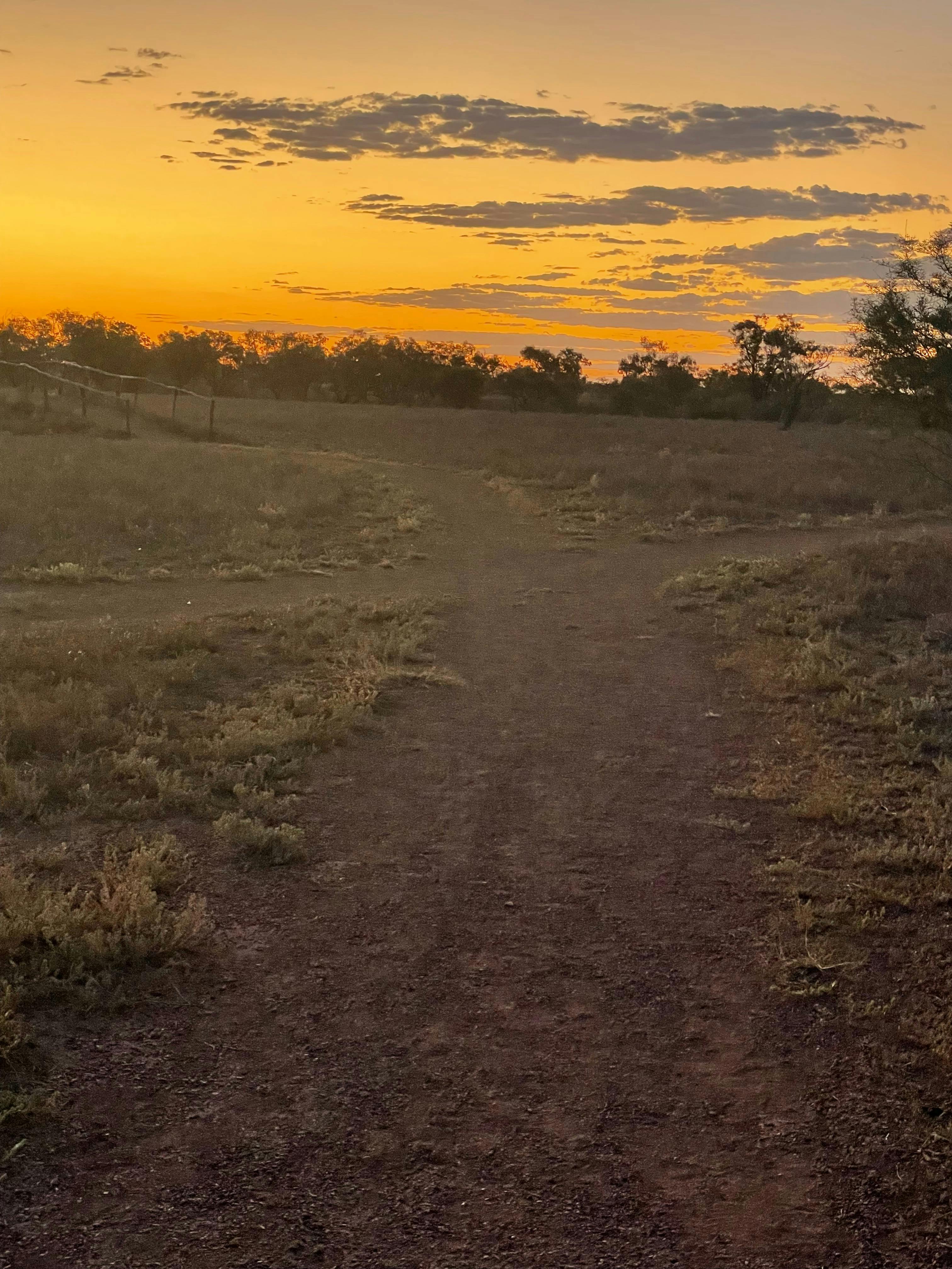 Cunnamulla Riverwalk