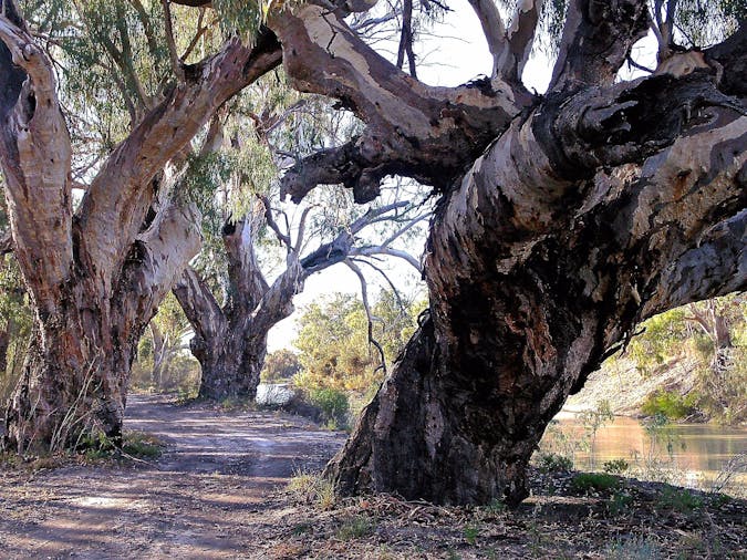 2021 Big Rivers Outback Tour - Queensland, News South Wales, South Australia