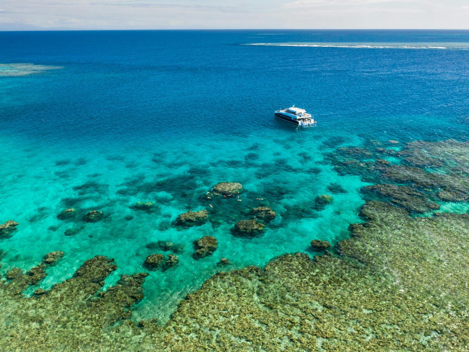 Calypso Reef Cruises - Port Douglas Calypso Reef Cruises - Port Douglas