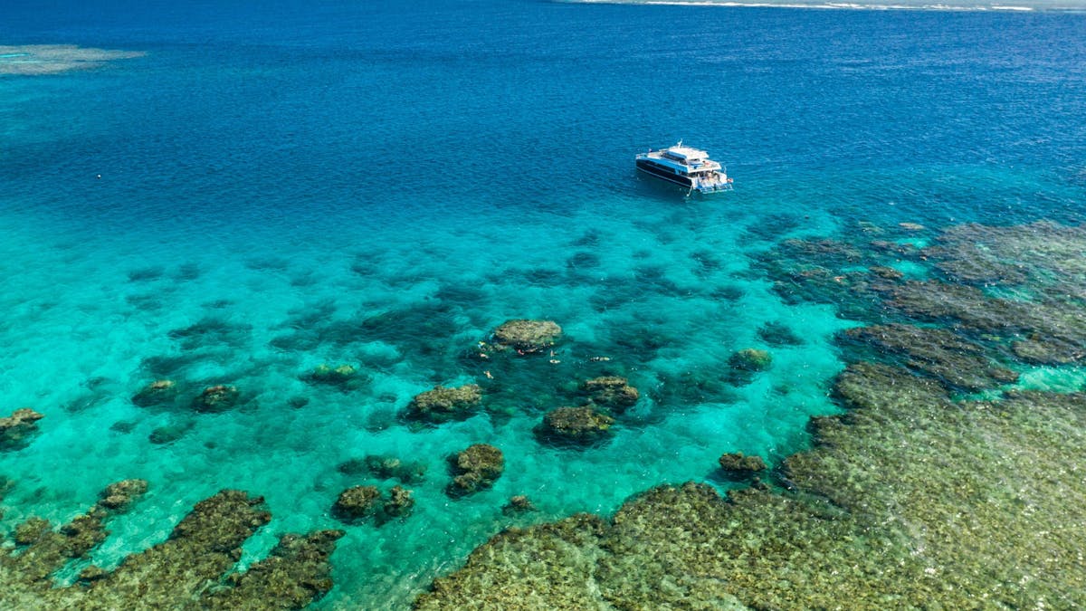 Calypso Reef Cruises - Port Douglas