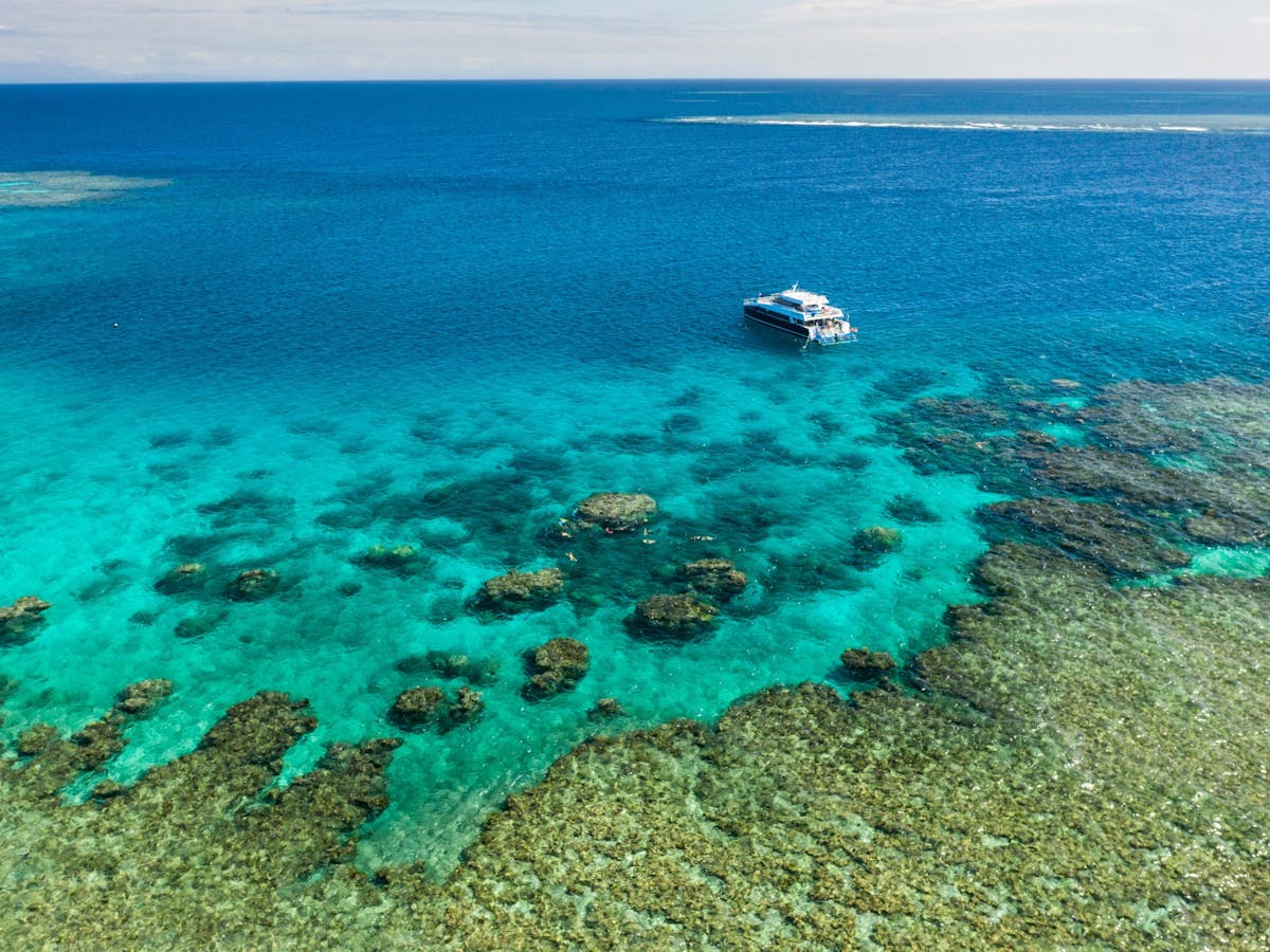 Calypso Reef Cruises - Port Douglas