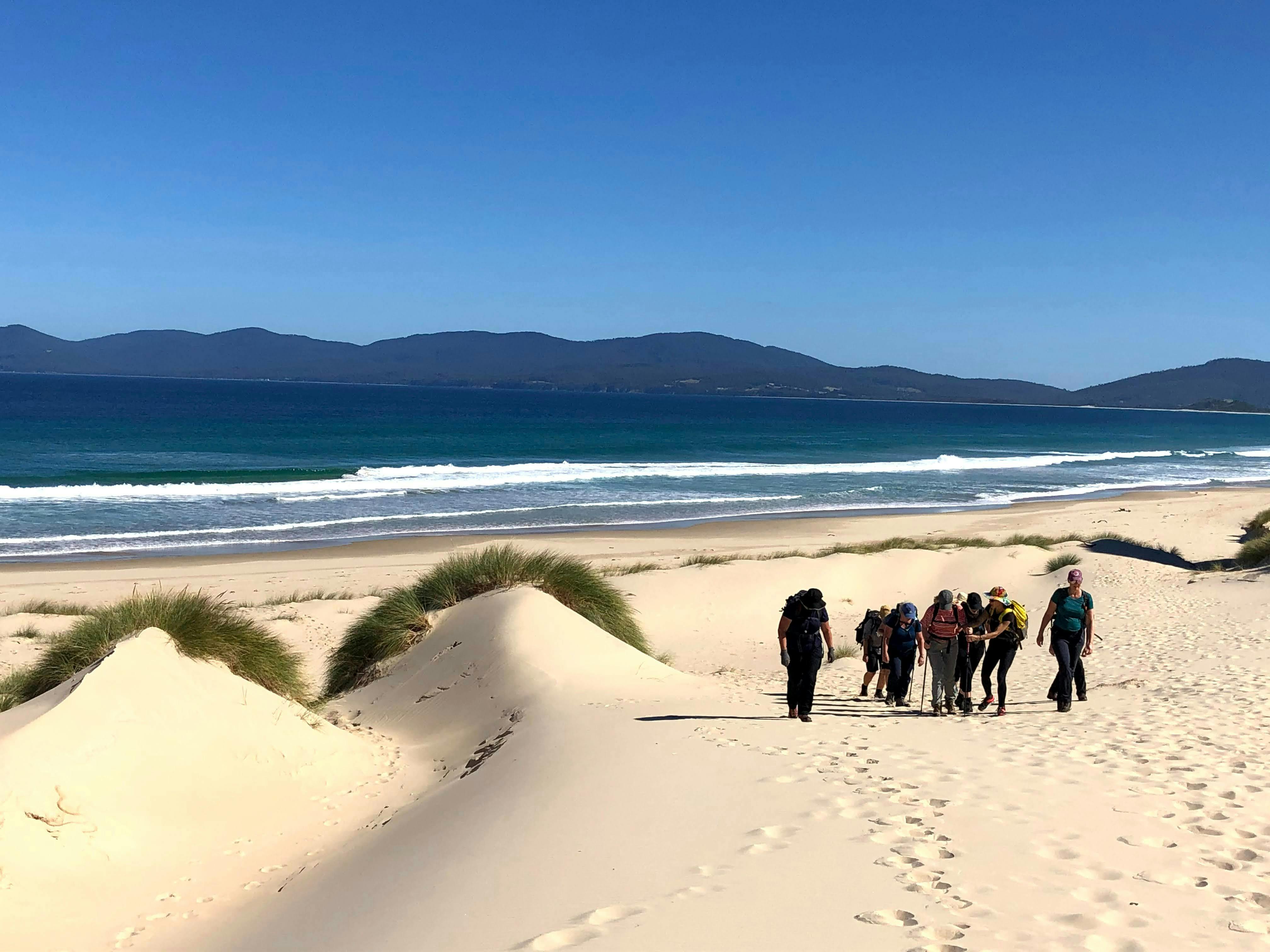 Group walking across sand dunes at The Neck on Bruny Island Tasmania coastal walking tour.