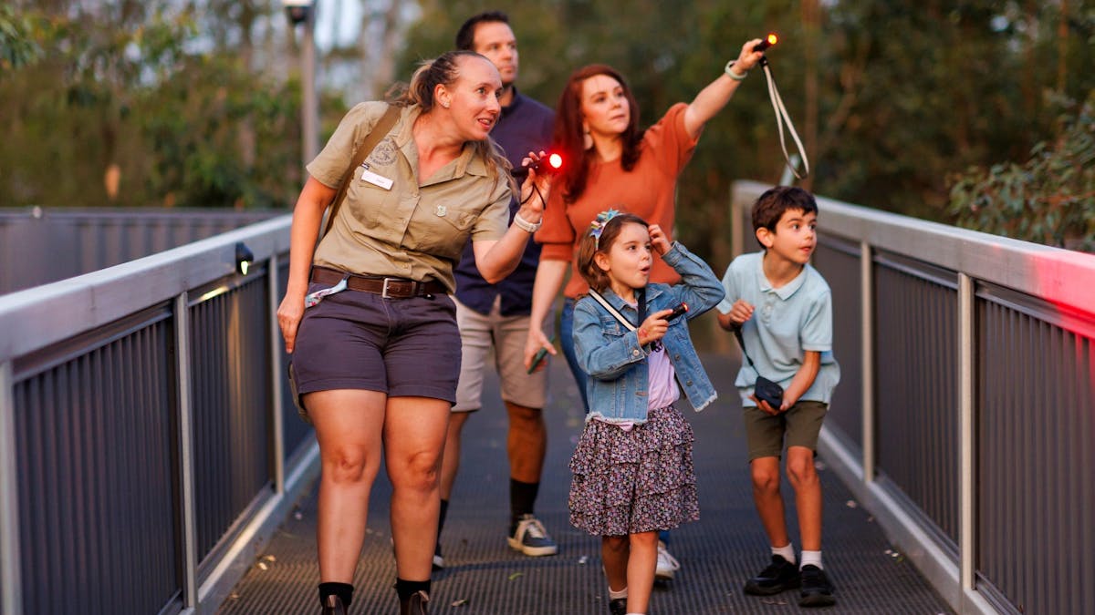 A wildlife guide leading children and families on a twilight tour through Lone Pine Koala Sanctuary.