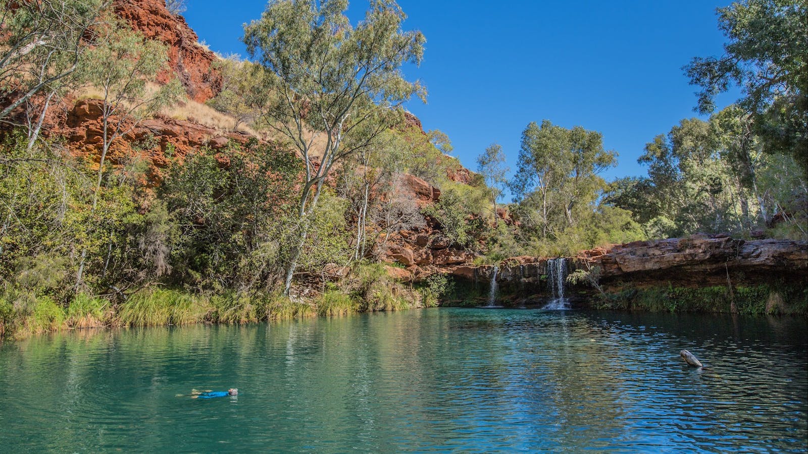 Fern Pool