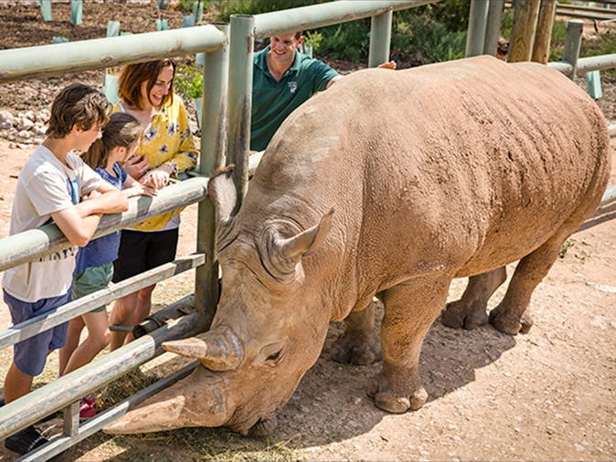 Rhino Interactive