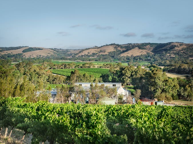 Explore, Wine & Dine in McLaren Vale Mclaren Flat, Tour Service...