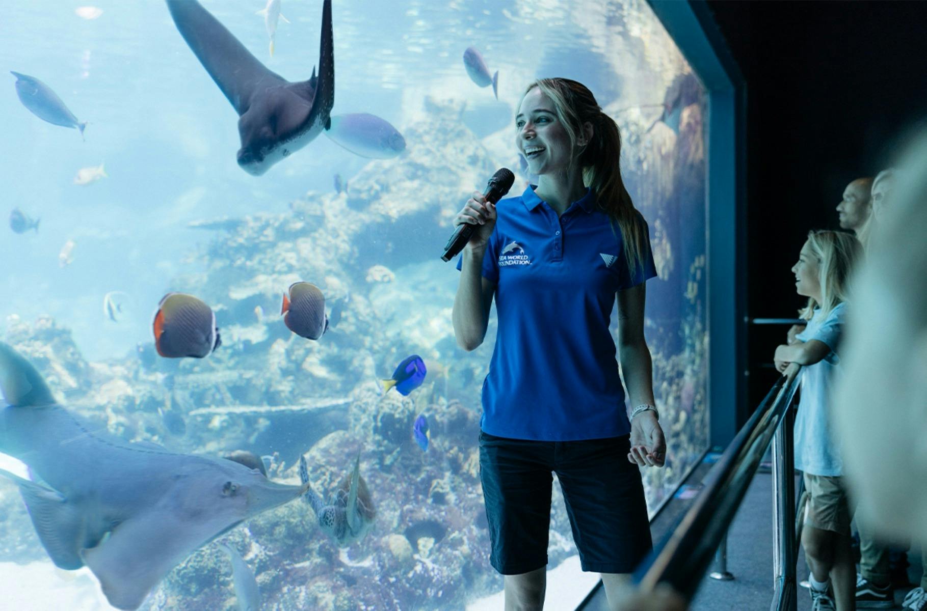 Shark Bay Educational Talk - Sea World