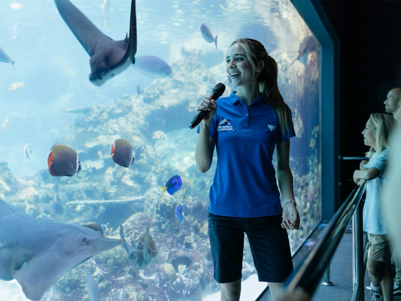 Shark Bay Educational Talk - Sea World