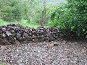 Beatrice Hill Well and Stone Fences
