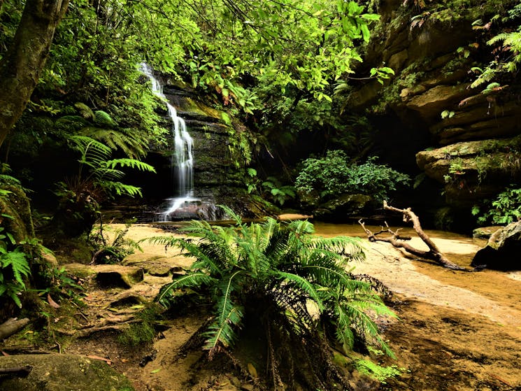 waterfall, adventure, blue mountains, tour operator, guide, day tour, camping , hiking, swimming.