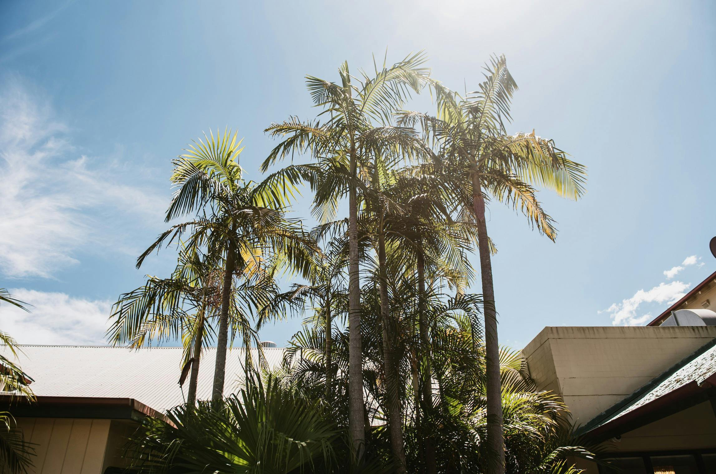 The Woy Woy Hotel - Outside