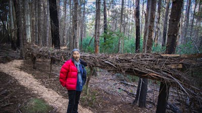 Timber Scultpure along the Alpine ASh Walk