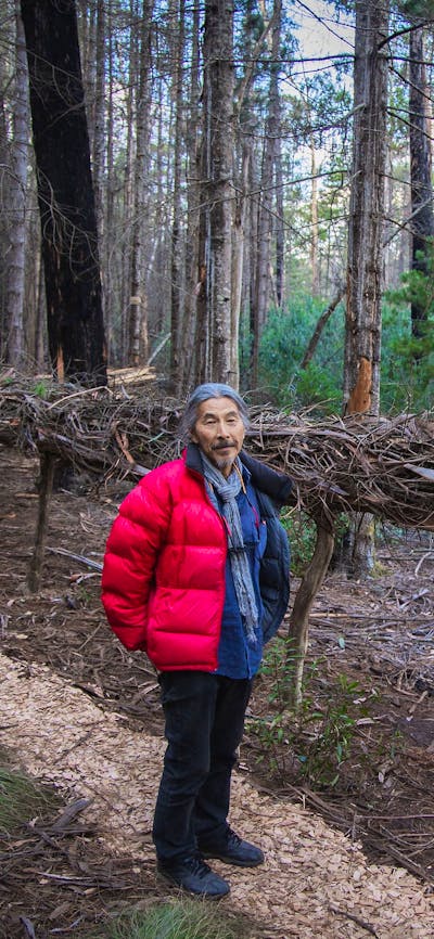Timber Scultpure along the Alpine ASh Walk
