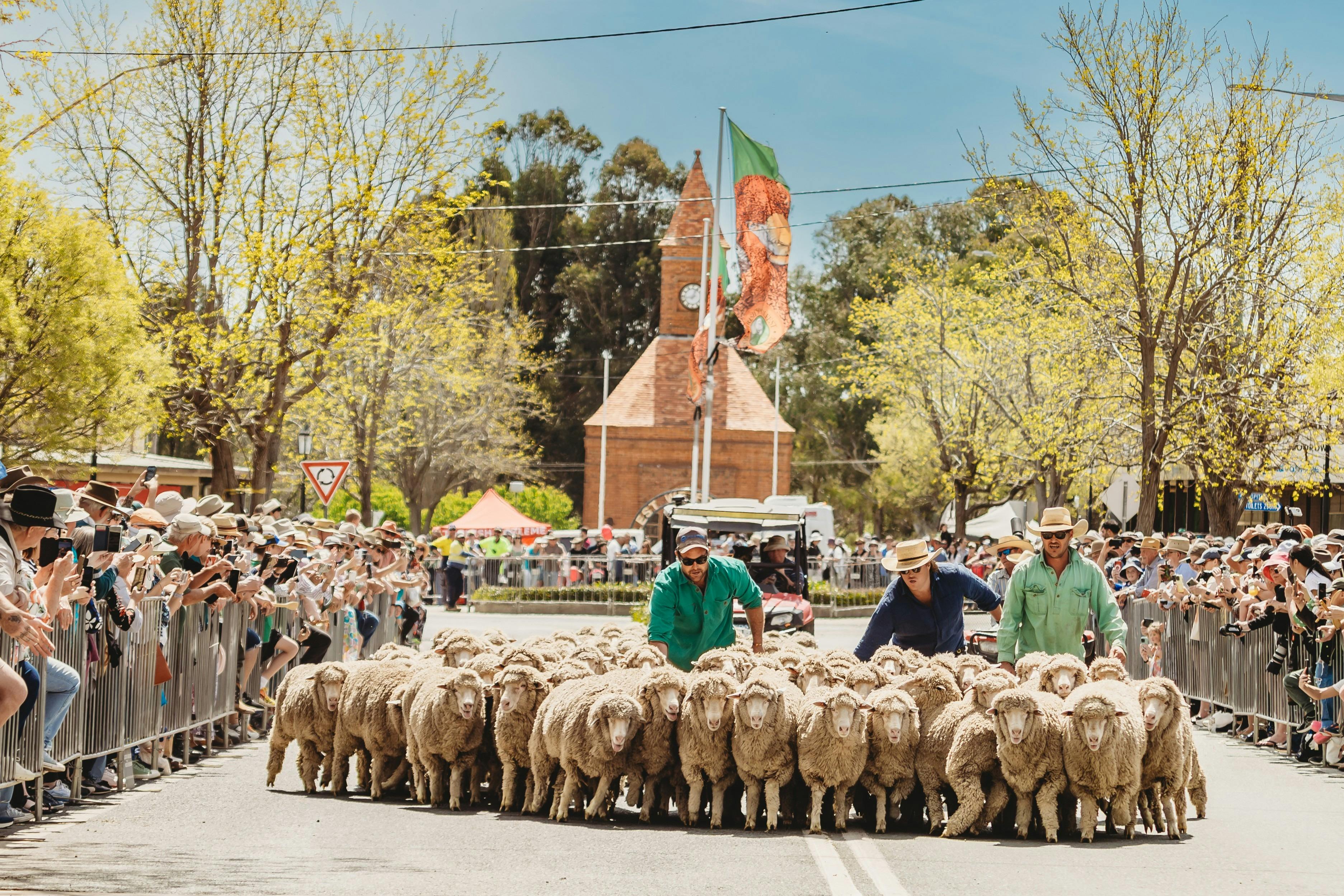 Boorowa Irish Woolfest