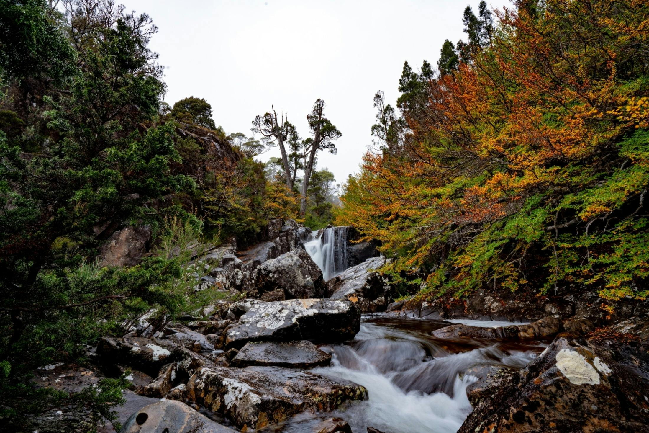 Beautiful Autumn Colours and flowing waterfalls in Tasmanias Central Highlands