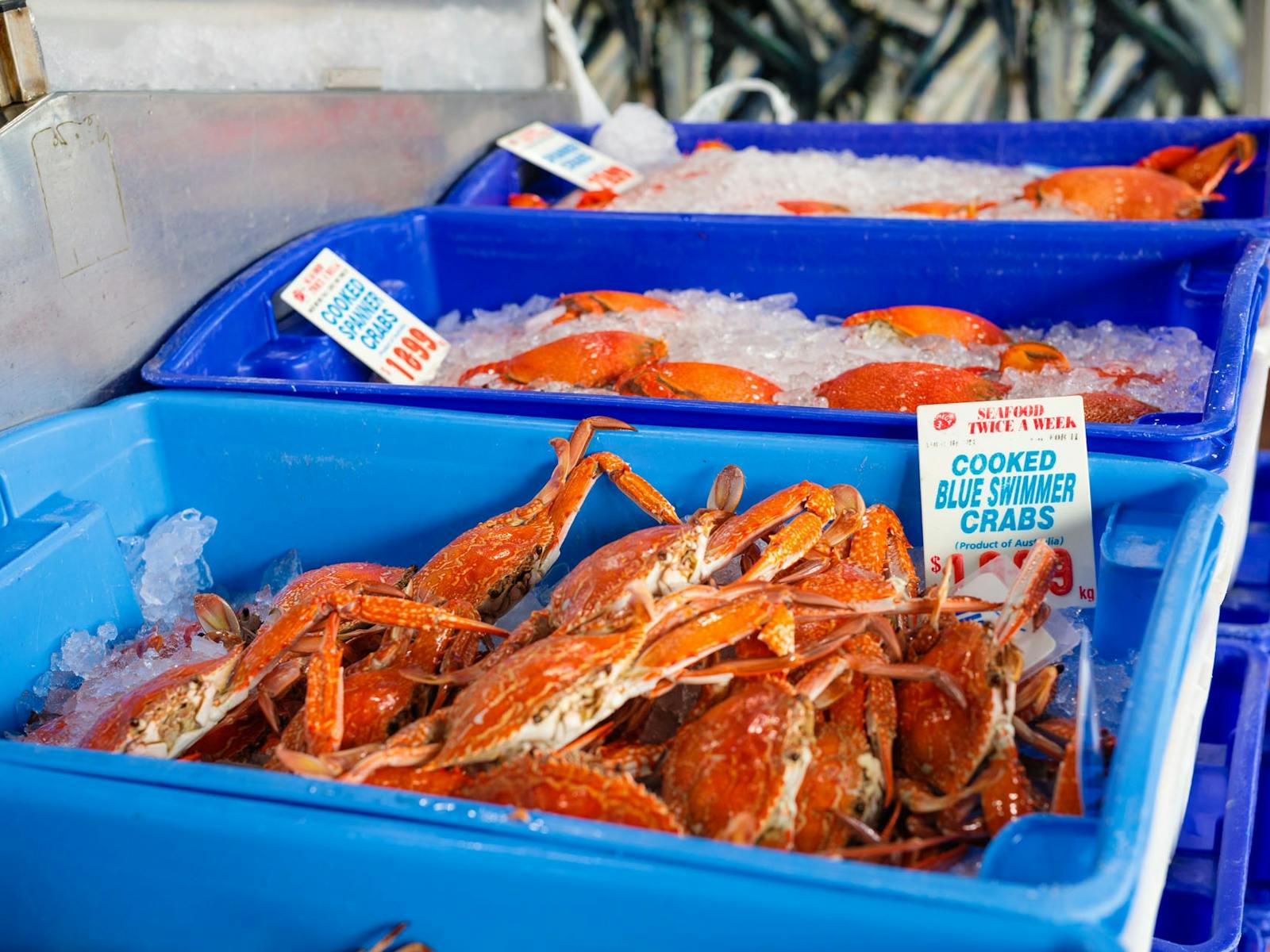 Seafood
