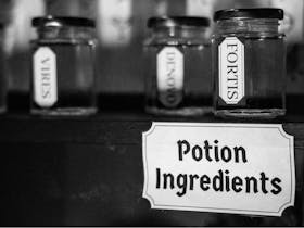 Potion Ingredients in the Realm of MAgic at Arcadium Adventures