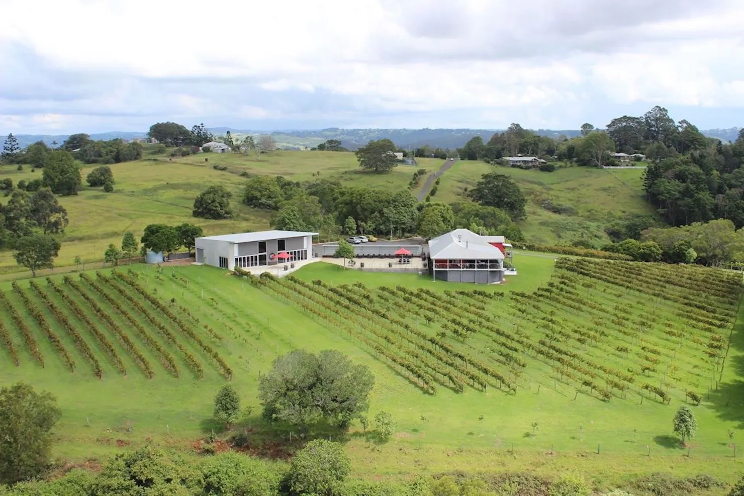 Montville vineyard, Sunshine Coast, Queensland, scenery, amazing view, wine, cellar door, restaurant