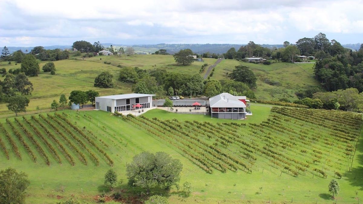 Montville vineyard, Sunshine Coast, Queensland, scenery, amazing view, wine, cellar door, restaurant