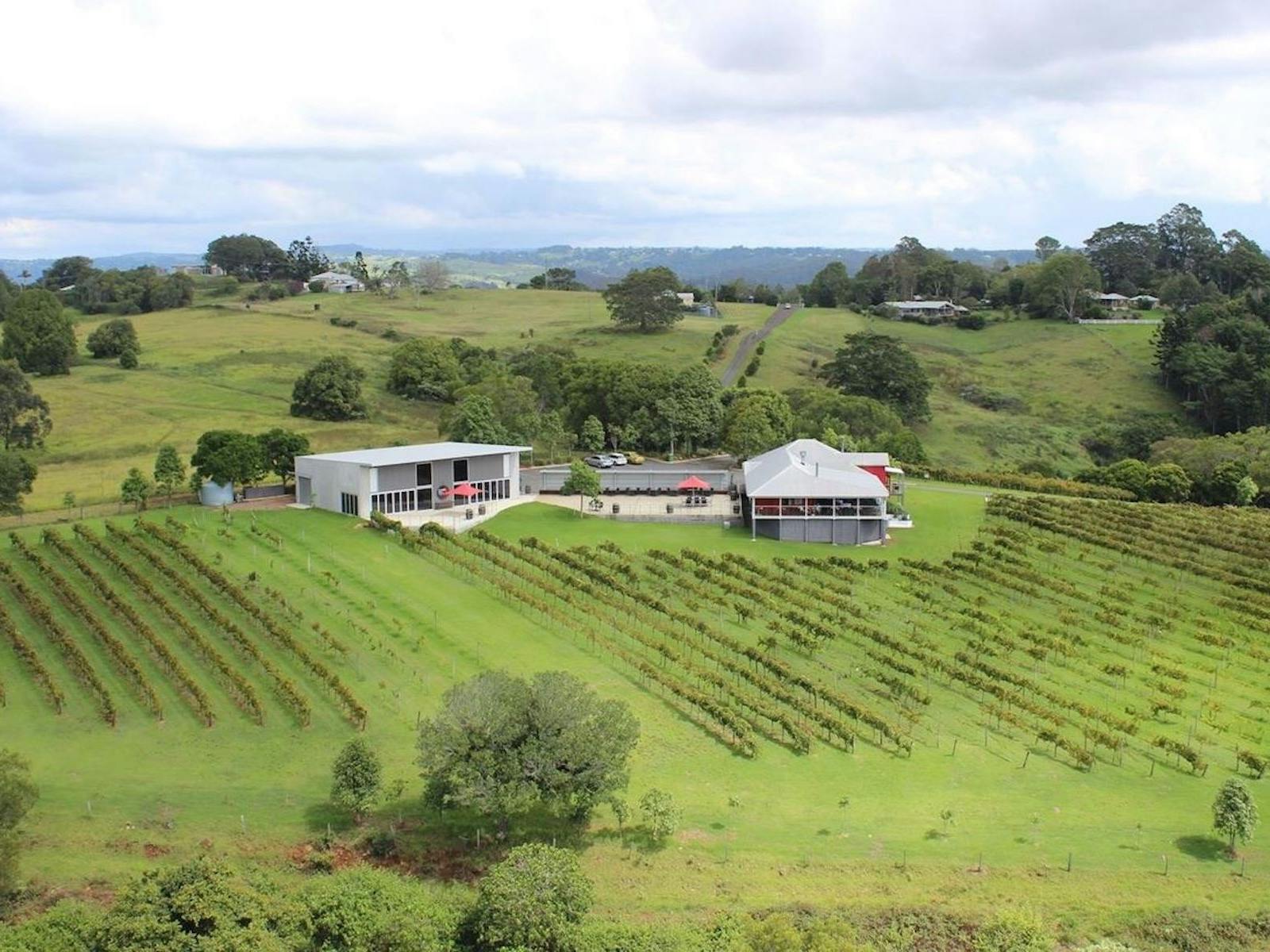 Montville vineyard, Sunshine Coast, Queensland, scenery, amazing view, wine, cellar door, restaurant Montville vineyard, Sunshine Coast, Queensland, scenery, amazing view, wine, cellar door, restaurant