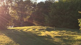 Vortex Healing Centre