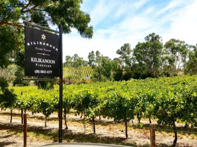 Clare Valley Grape Express Tours