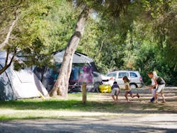 Rosebud Foreshore Camping