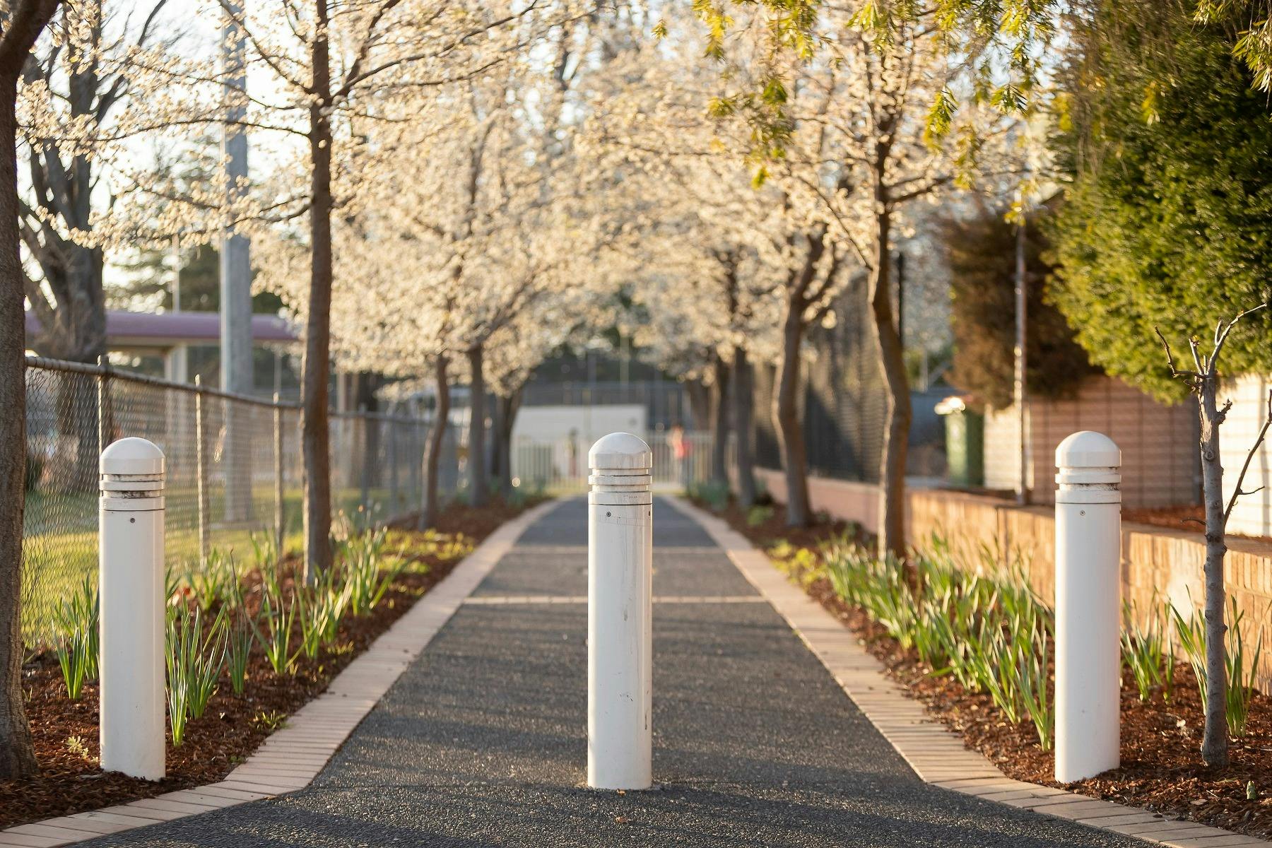 Queanbeyan Town Park Brad Haddin Oval