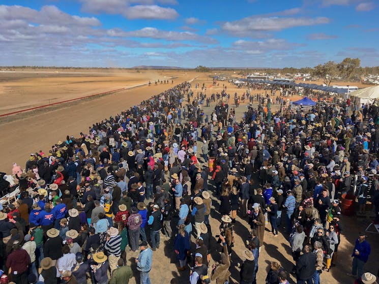 Louth Races Crowd