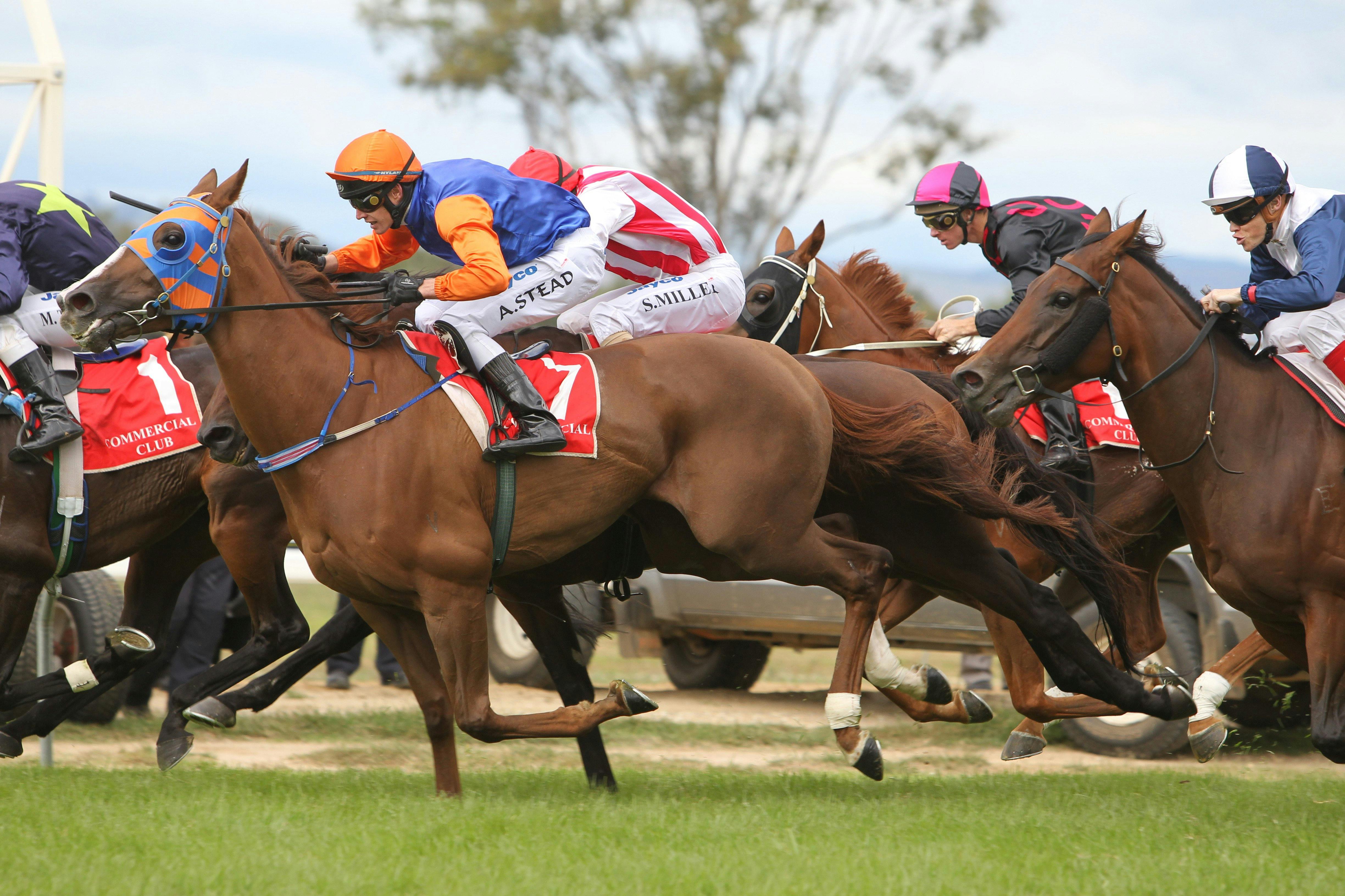 Albury Racing Club Races