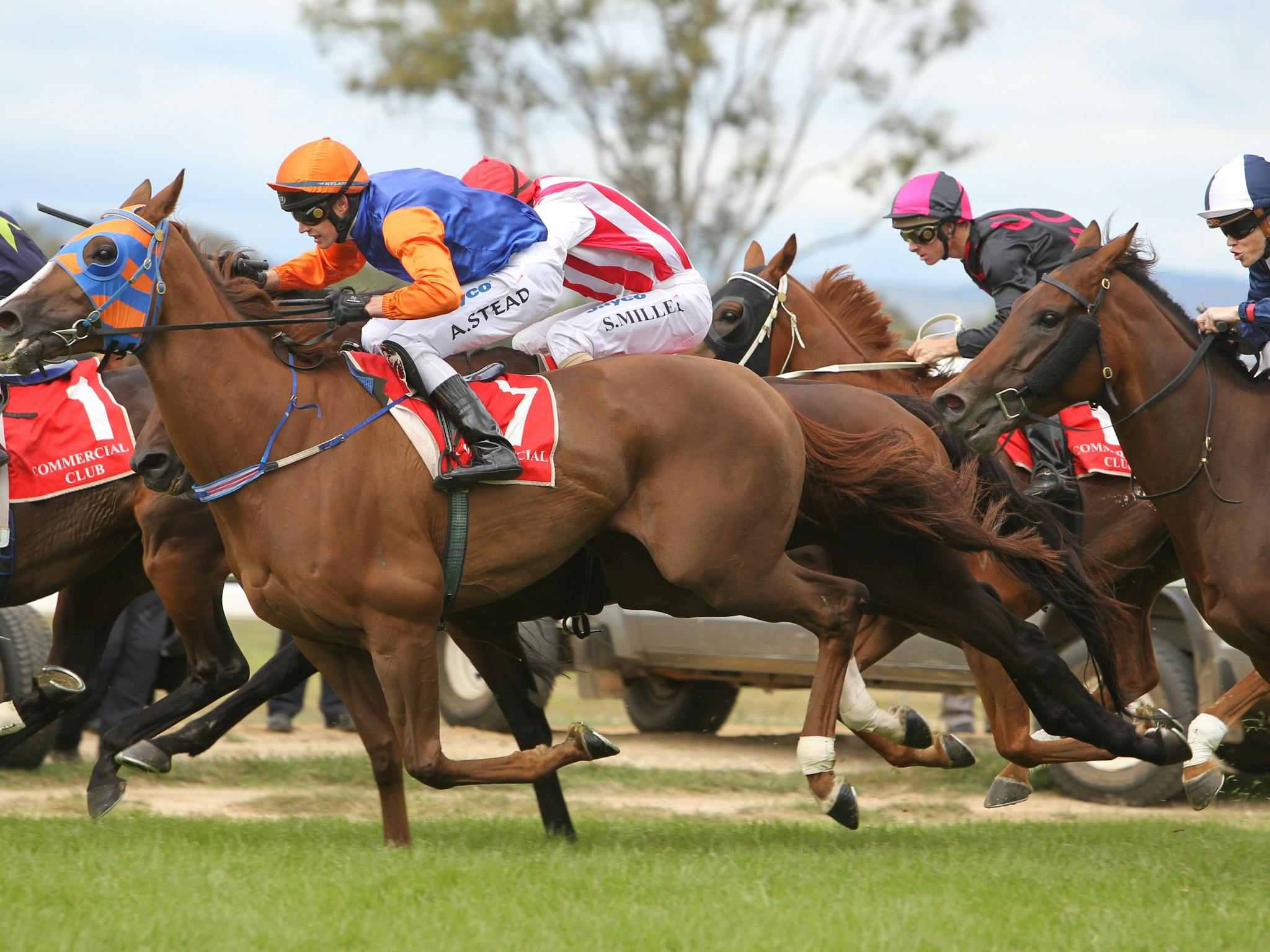 Albury Racing Club Races