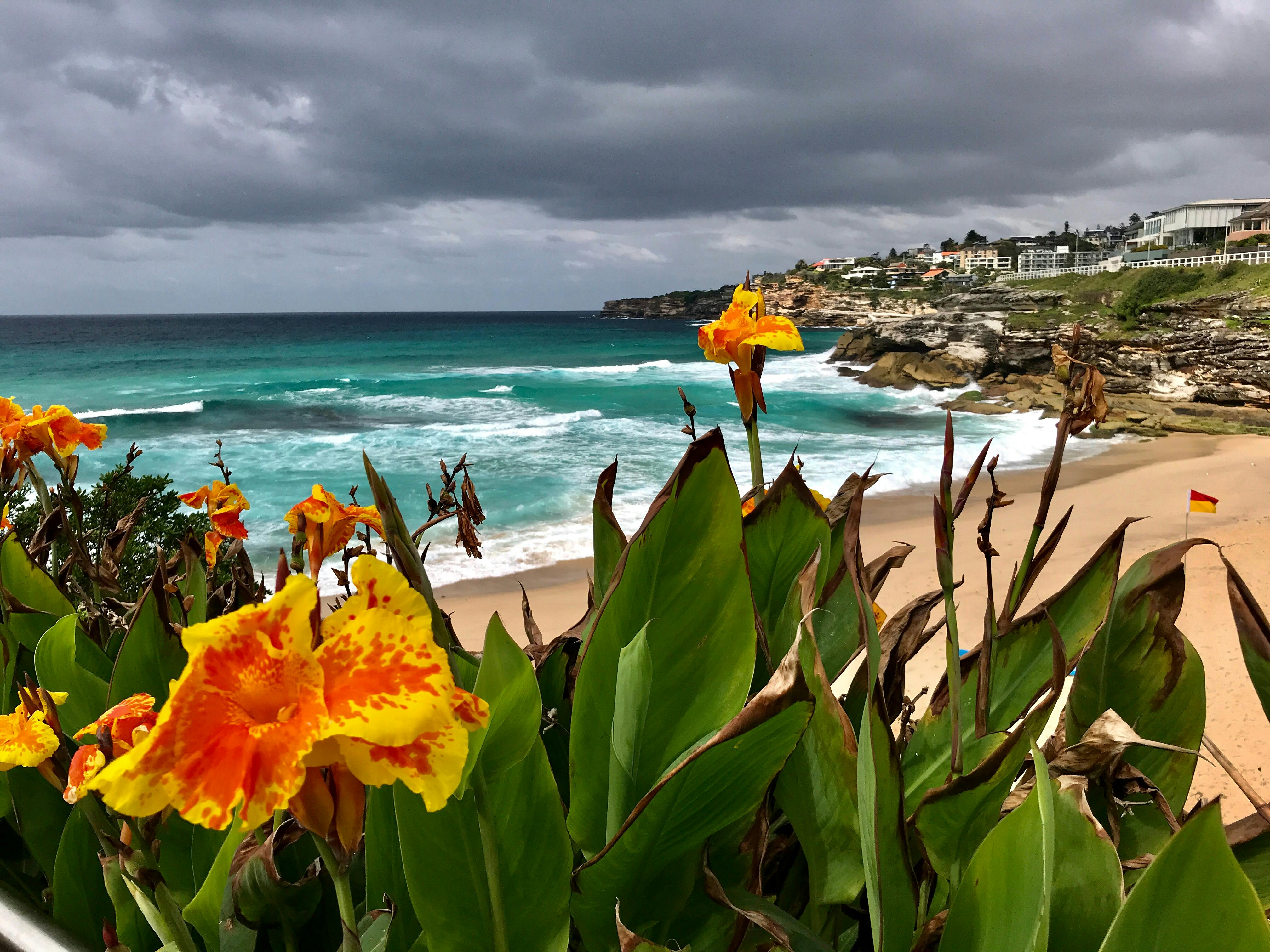 シドニー沿岸宝石