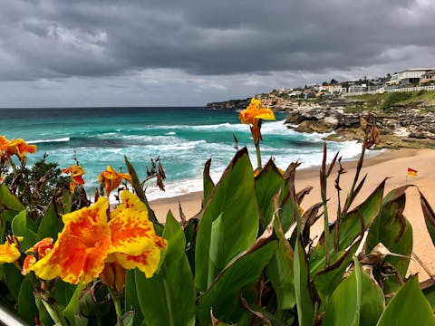 シドニー沿岸宝石