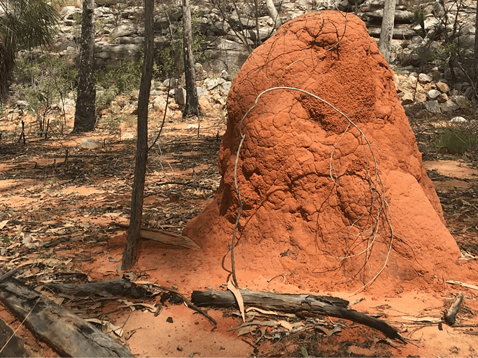 Groote Eylandt Touring Company