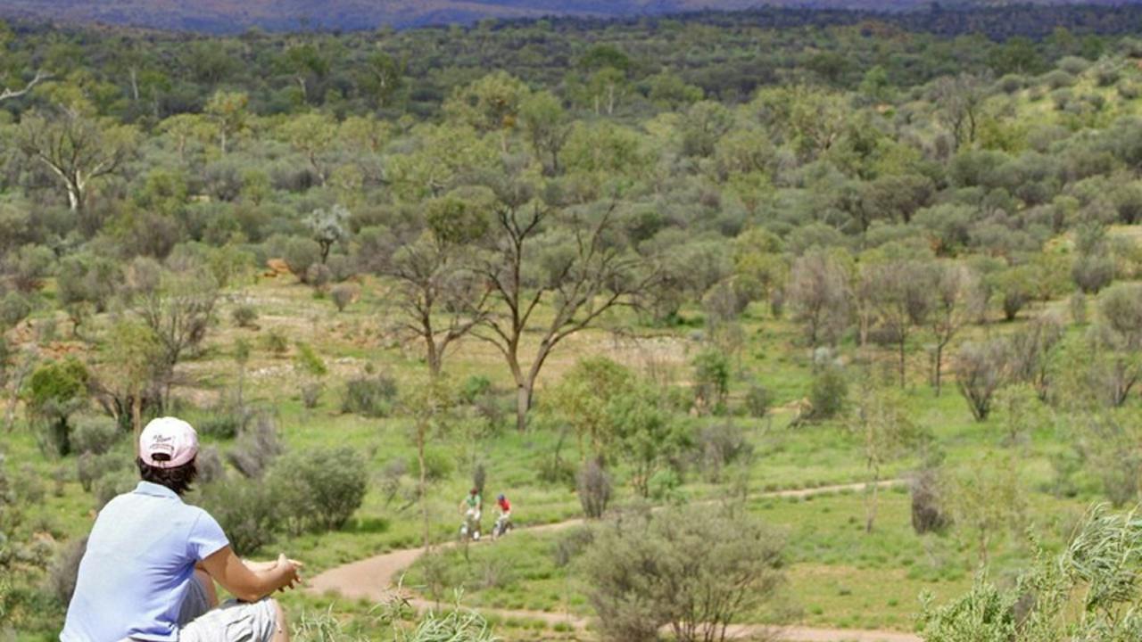 Mulga Camp