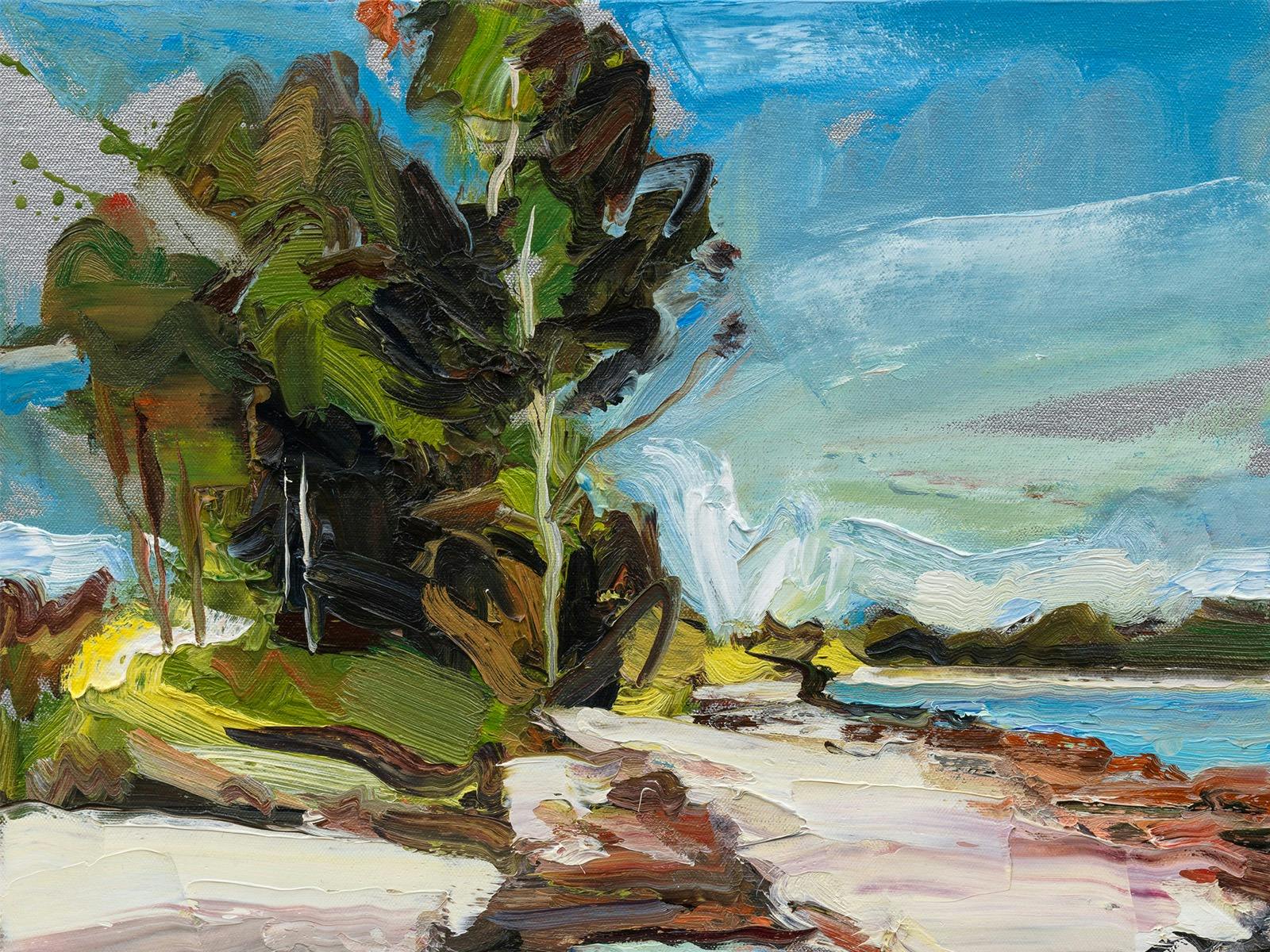 Robert Malherbe, Silver coastal tree 2, 2026, oil on linen, 36.0 x 46.0 cm (detail)