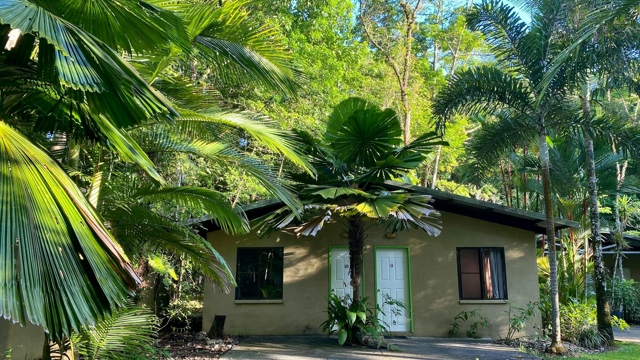 Rainforest Motel accommodation with driveway surrounded by rainforest trees Rainforest Motel accommodation with driveway surrounded by rainforest trees