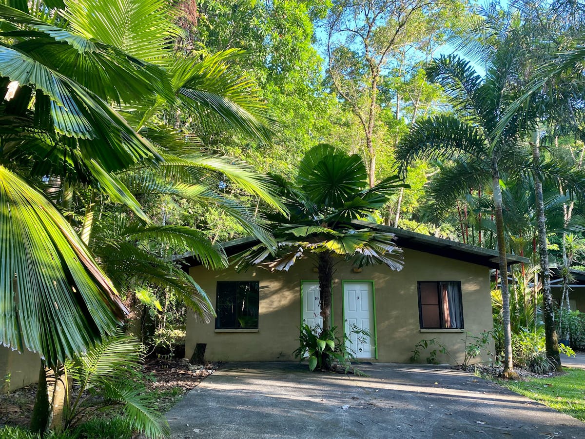 Rainforest Motel accommodation with driveway surrounded by rainforest trees