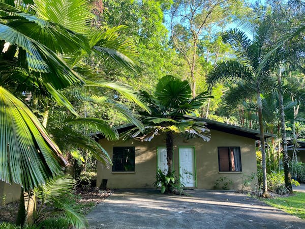Rainforest Motel accommodation with driveway surrounded by rainforest trees