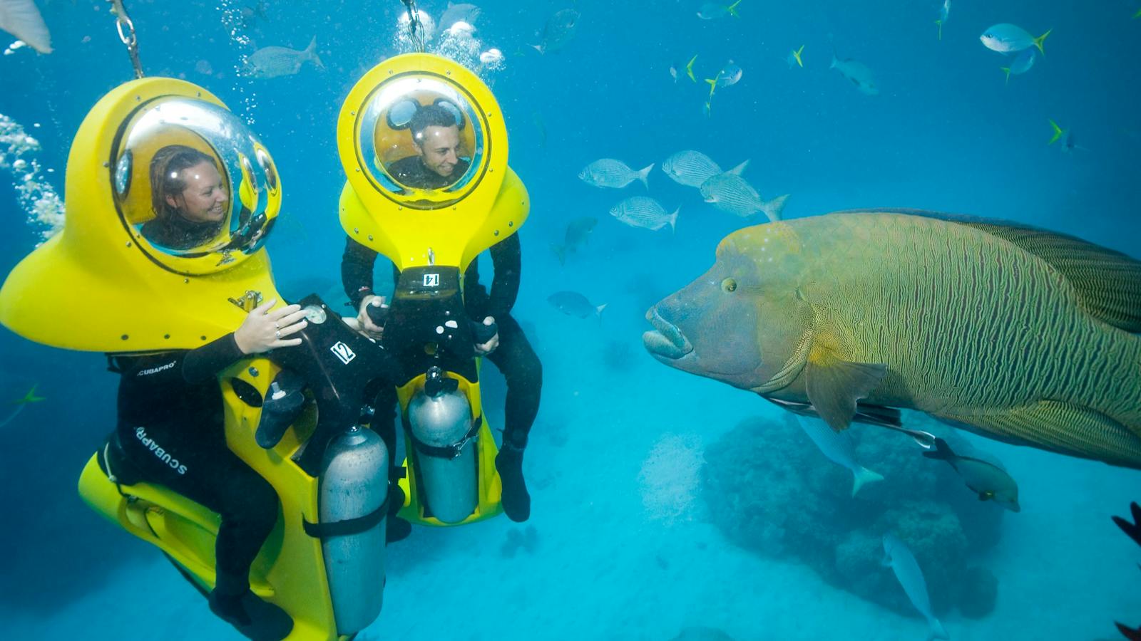 Scubadoo at Great Adventures Outer Reef Cruise