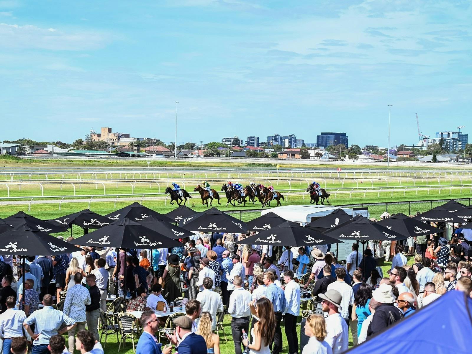 Crowd and horses