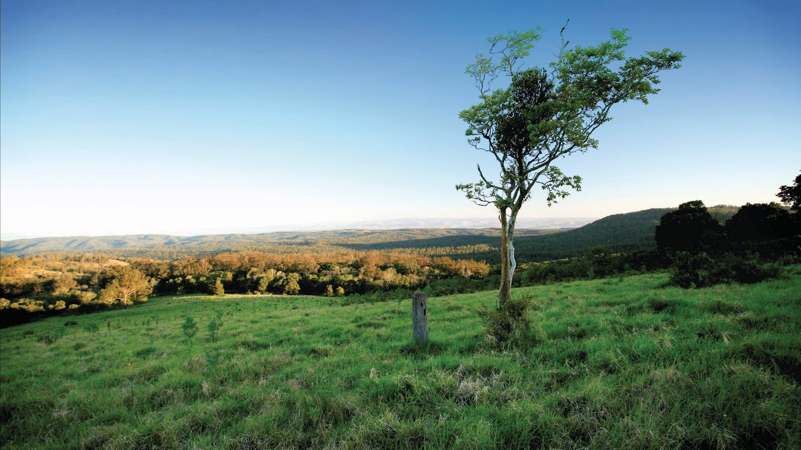 Ravensbourne National Park