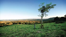 Ravensbourne National Park