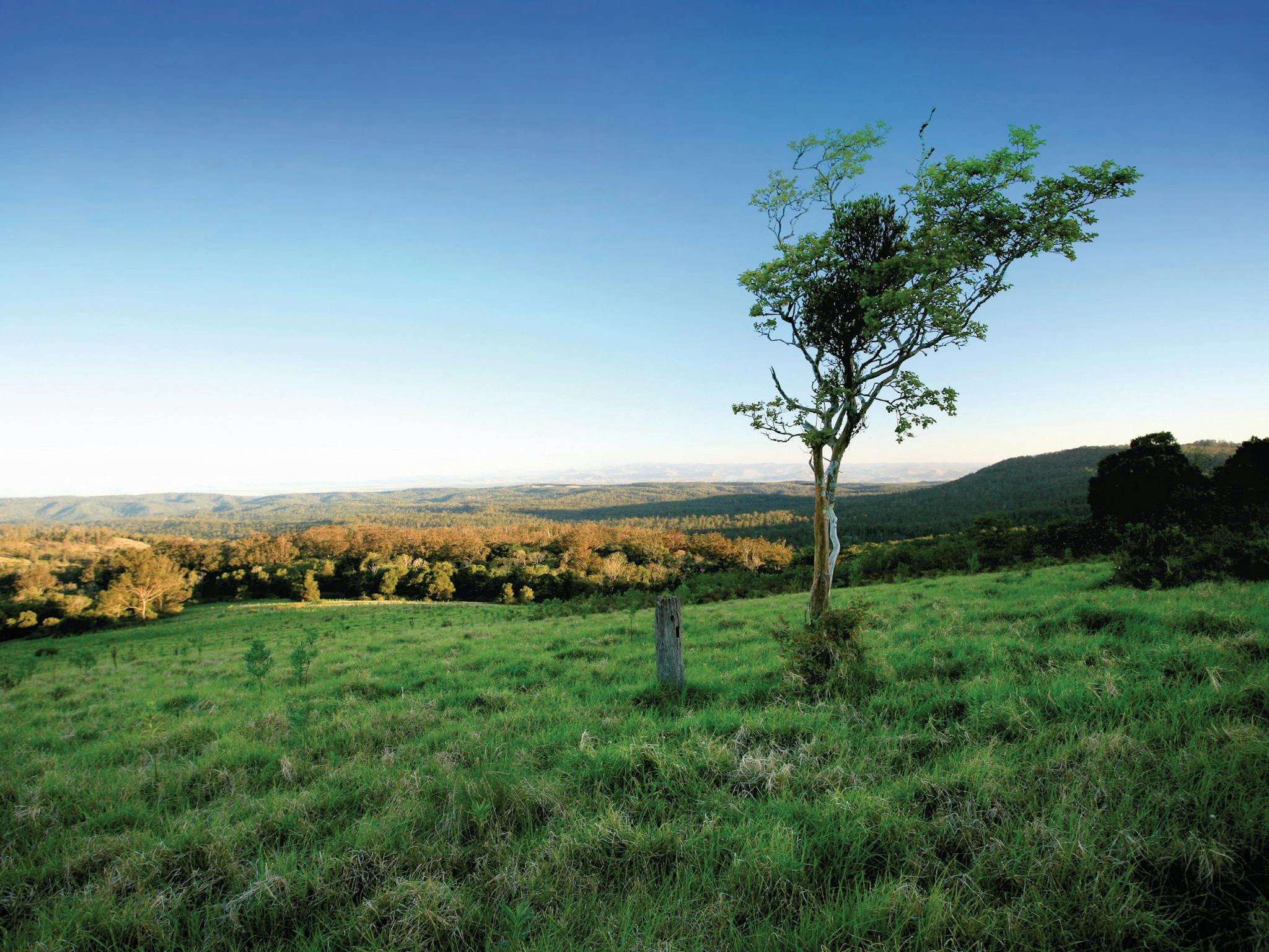 View of rolling hills and distant ranges. View of rolling hills and distant ranges.
