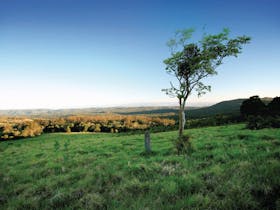 Ravensbourne National Park